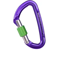 Wild Country Session Screw Gate Carabiner - SS25
