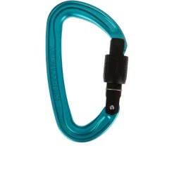 Wild Country Wildscrew Screwgate Carabiner - SS25